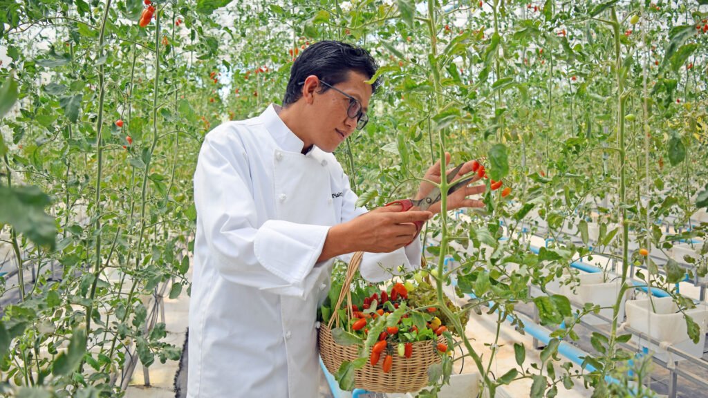 Farm-to-Table: Park Hyatt Siem Reap Embark On Organic Khmer Culinary Journey
