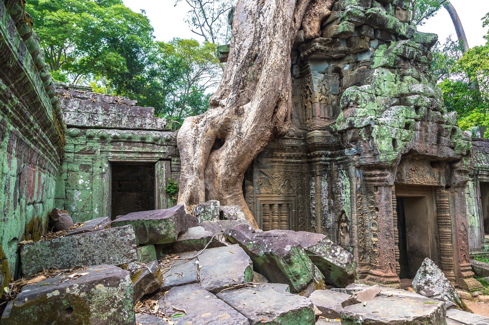 Exploring Ta Prohm Temple : The Mystical Beauty of Siem Reap 